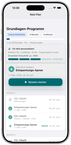 Dein persönlicher Plan